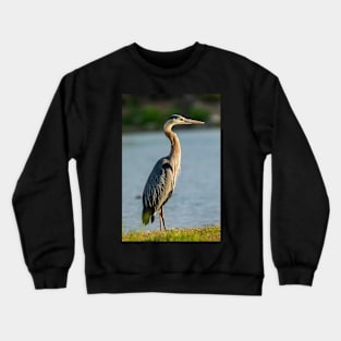 Blue Heron on the Shoreline Crewneck Sweatshirt